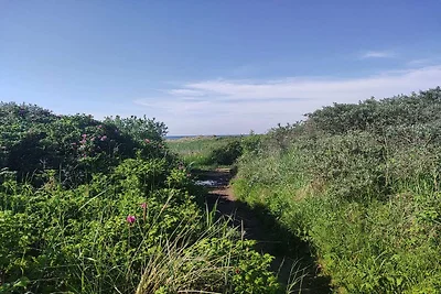 Familienurlaub in Lodskovvad