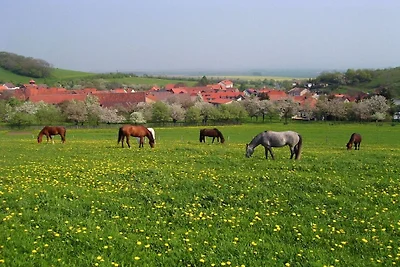 Ferienhaus mit 1 Schlafzimmer