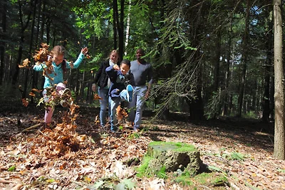 Modernes Chalet mit WLAN im grünen Achterhoek
