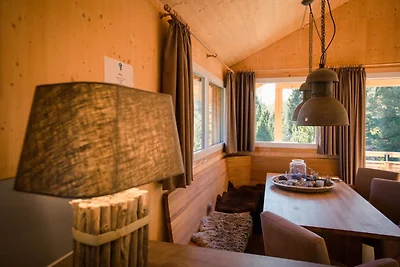 Mooi chalet met infraroodsauna