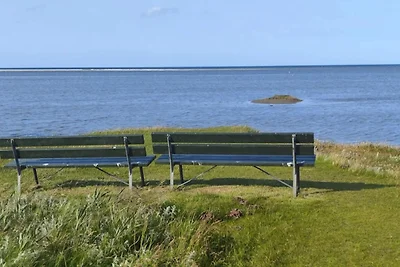 11 Personen Ferienhaus in Ørsted-By Traum