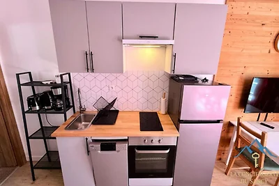 The Mists 2 Le Mont Dore 2/4 Personen