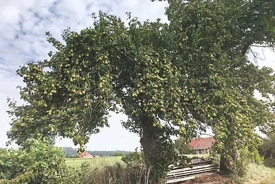 Kuća za odmor Dopust za oporavak Bertsdorf-Hörnitz