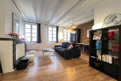 Charmant appartement in Toulouse