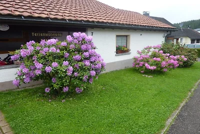 Haus Dilger - EG (Souterrain) Wohnung