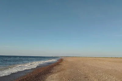 5 Personen Ferienhaus in Læsø