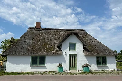 Ferienhaus in Hemme mit Garten