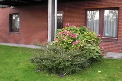 Vakantiehuis Ontspannende vakantie Vollerwiek