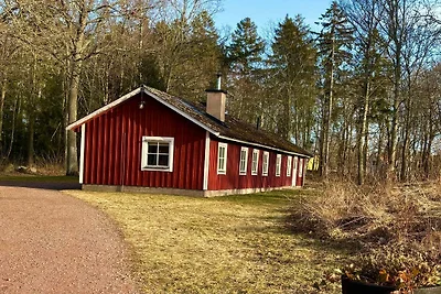 6 Personen vakantie huis in ROCKNEBY