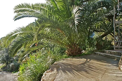 Casa Furrer Terranera