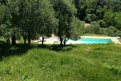 Ferienhaus in Pescia mit Schwimmbad