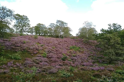 8 Personen Ferienhaus in Gjern-By Traum