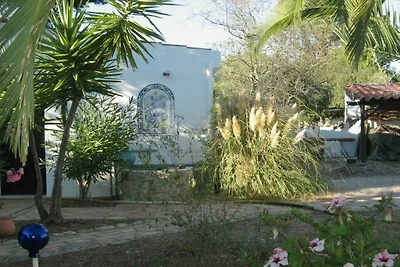Casa das Palmeiras
