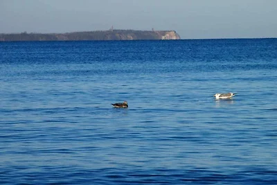 Ferienwohnung mit 2 Schlafzimmer