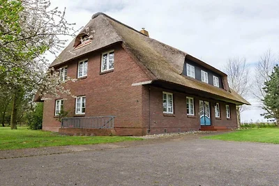 Objekt 13 || Nieblum