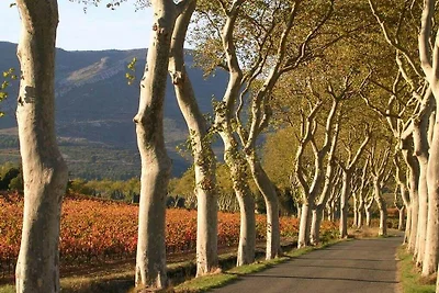 "Ancien Cafe" mit Innenhof