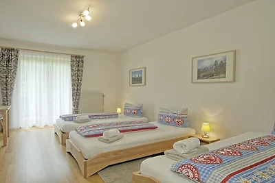 Uitzicht op de Alpen vanuit het Thiele-huis.