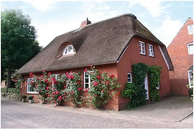 Ferienhaus Erholungsurlaub Nieblum