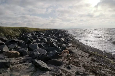 4 stelle case ad Dannemare