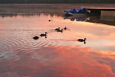Bungalow direkt am See in Bieszkowice