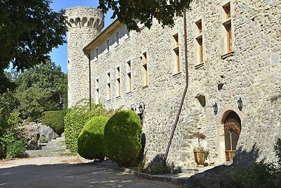 Luxuriöses Schloss in Viols-le-Fort mit...