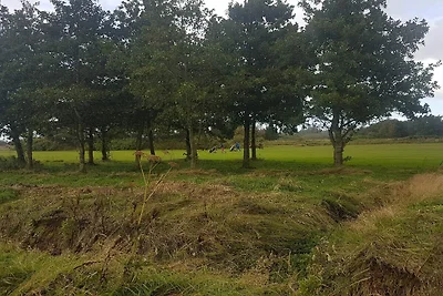 6 Personen Ferienhaus in Fjerritslev-By Traum