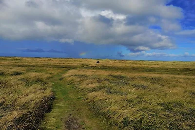 Abgeschiedenes Refugium am Strand -- By Traum...
