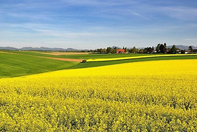 4 persone case ad FALKÖPING