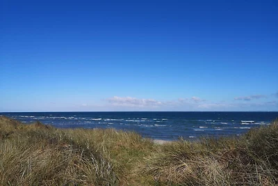 6 persoons vakantie huis in Læsø