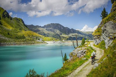 Ferienhaus Erholungsurlaub Haute-Nendaz