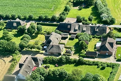 Ferienhaus in Midlum mit Schwimmbecken
