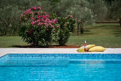 Villa in Vižinada mit Schwimmbecken