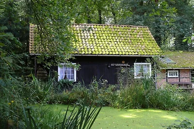 Ferienhaus in Walsrode mit Schwimmbecken