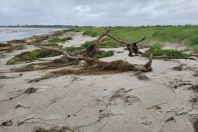 6 Personen Ferienhaus in Slagelse