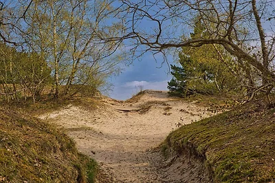 4 Personen Ferienhaus in Børkop