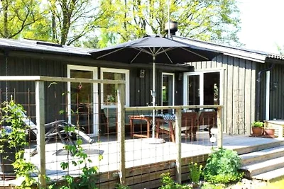 4 Sterne Ferienhaus in SÖLVESBORG