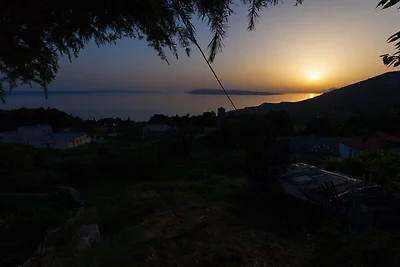Villa Roza Dalmatian Escape