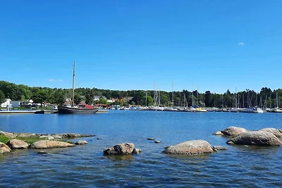 5 Sterne Ferienhaus in Nävekvarn
