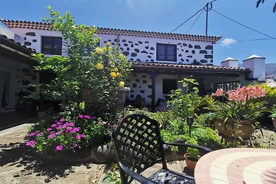 Joyau au paradis || La Victoria de Acentejo