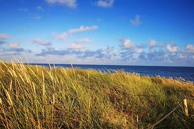 24 Personen Ferienhaus in Blåvand