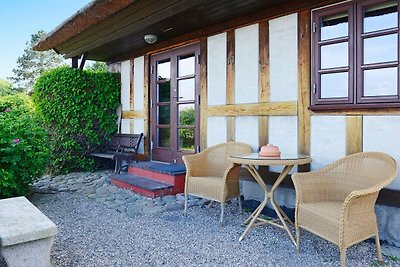 Charmantes Ferienhaus in Fünen mit Terrasse
