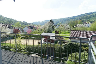 Casa vacanze a Bollendorf con giardino