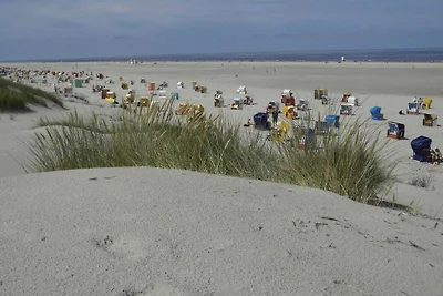 Ferienwohnung in Juist mit Schwimmbecken