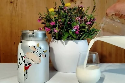 Appartamento per vacanze con 2 camere da...