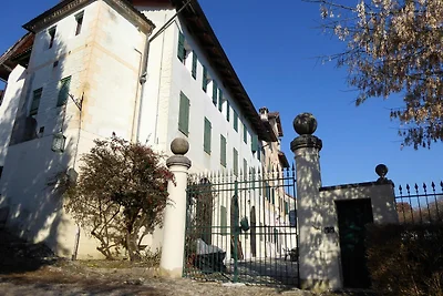Ruim appartement in Venetiaanse villa met...
