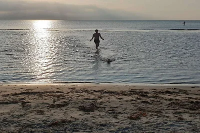 4 persoons vakantie huis in Læsø-By Traum