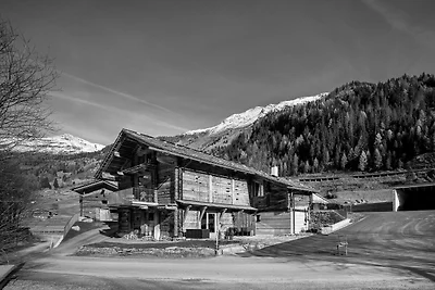 Charming chalet-style feeder house