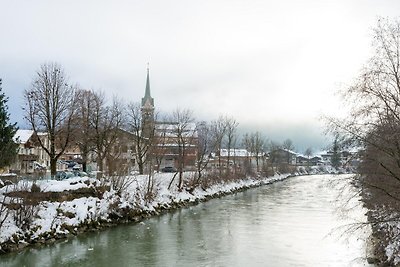 Traditioneel chalet bij het skigebied