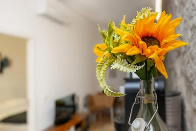 Appartement in Porto met groot terras