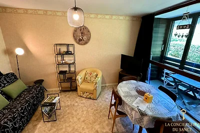 Apartment in Mont-Dore mit Bergblick